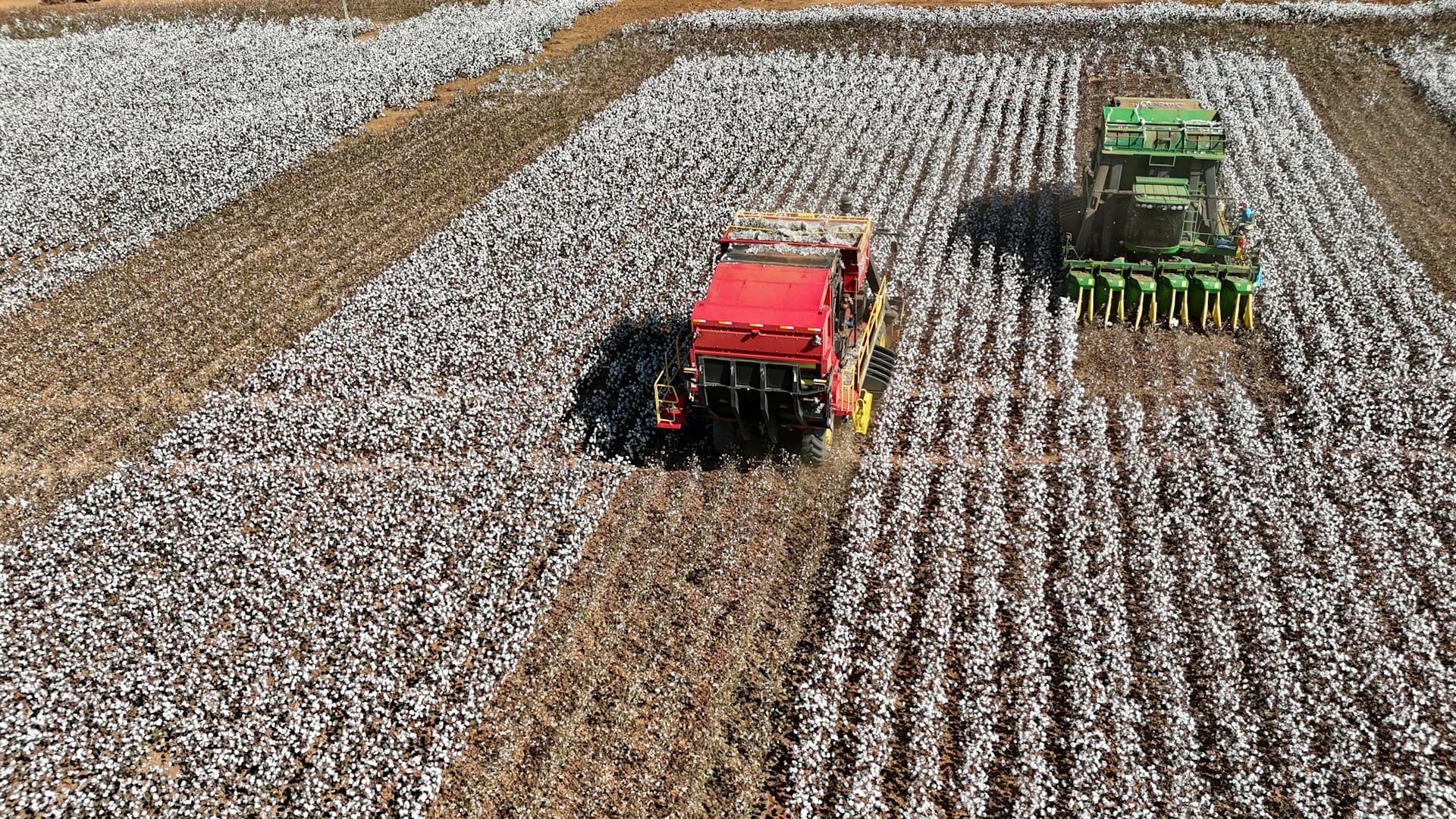 Harvest visibility