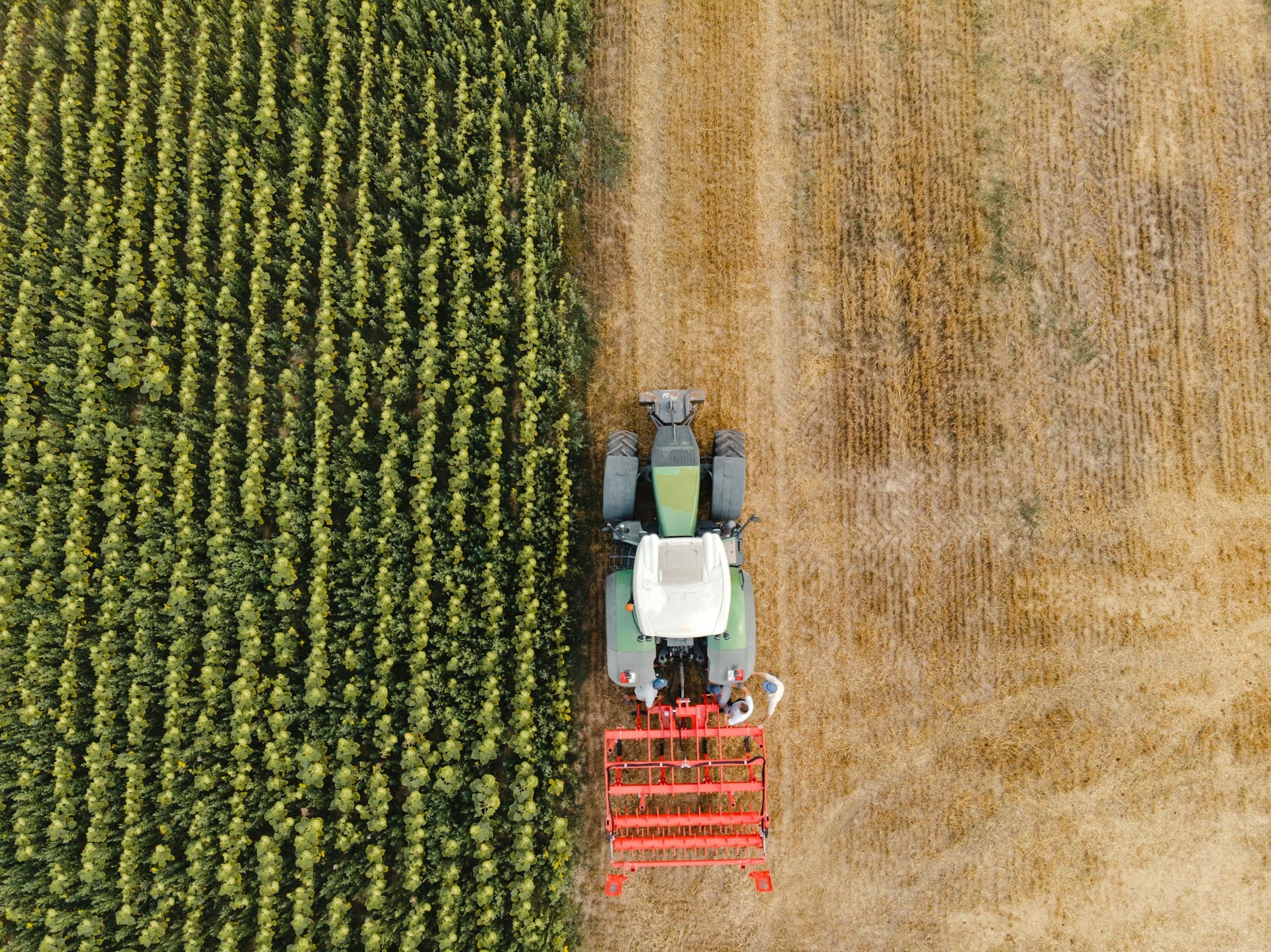 Crop Protection